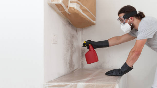 Professional Crawl Space Mold Remediation technician working in Oak Park, IL